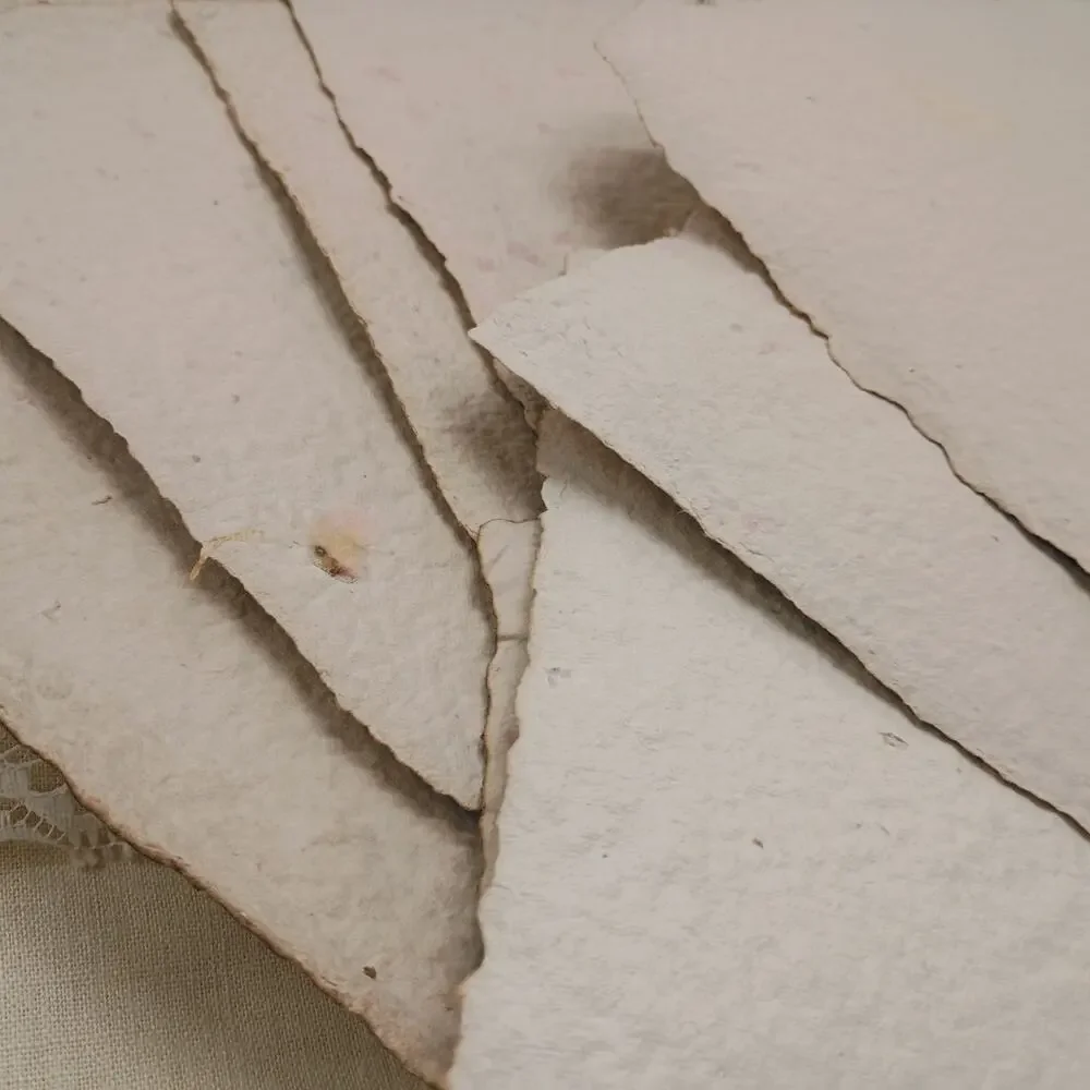Heavy Weight Handmade Papers with Floral Inclusions, 10 Thick Sheets